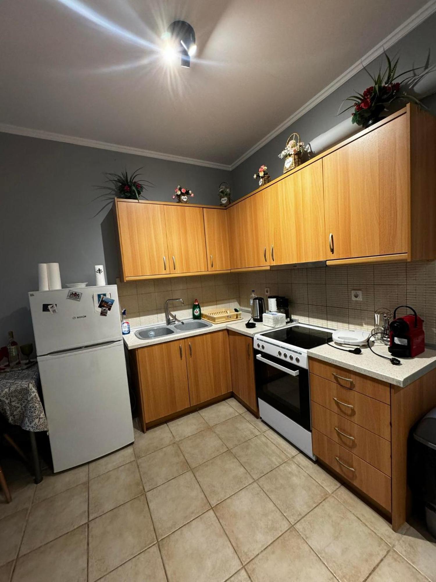Dimitris House Apartment Alepou ภายนอก รูปภาพ