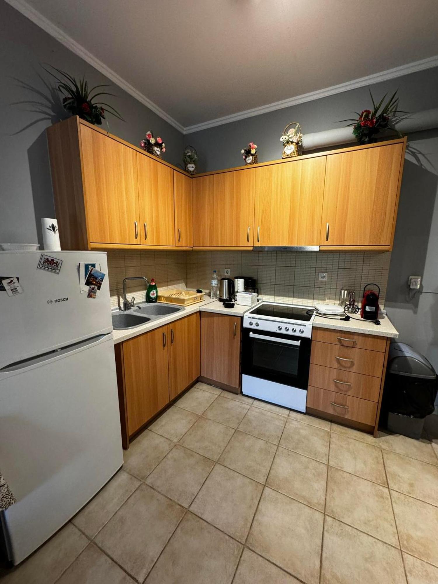 Dimitris House Apartment Alepou ภายนอก รูปภาพ
